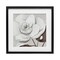 Stupell Industries Elegant White Blooms Framed Print Under Glass, design by Hannah Dawson